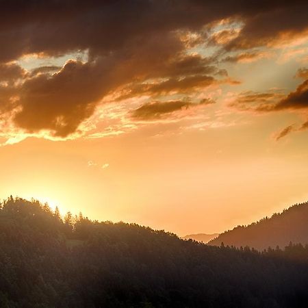 Gostilna Pension Blegos Poljane nad Škofjo Loko Exterior foto
