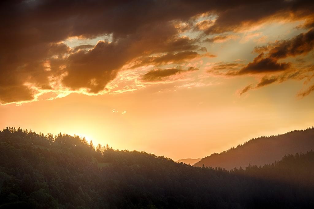 Gostilna Pension Blegos Poljane nad Škofjo Loko Exterior foto