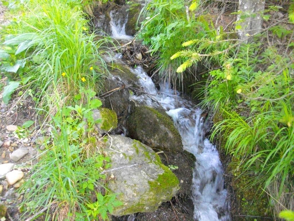 Gostilna Pension Blegos Poljane nad Škofjo Loko Exterior foto