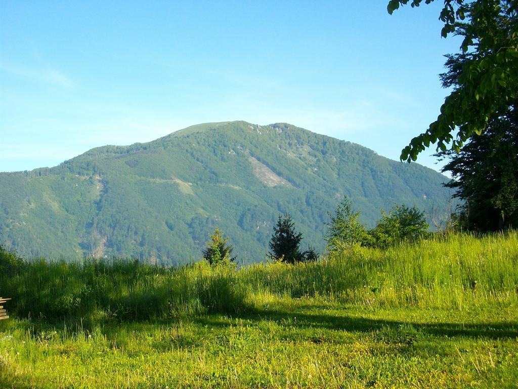 Gostilna Pension Blegos Poljane nad Škofjo Loko Exterior foto